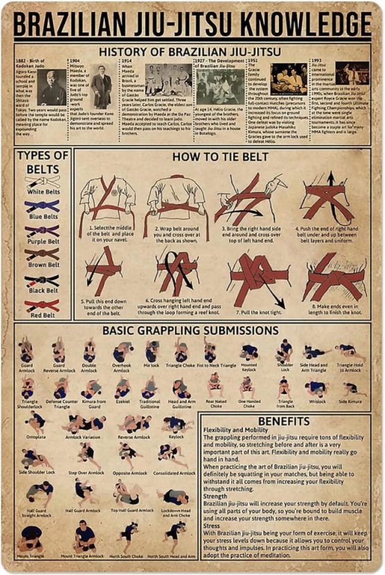 Brazilian Jiu Jitsu Knowledge